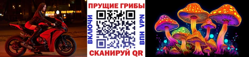 blacksprut ссылки  Нефтекамск  Псилоцибиновые грибы мицелий 